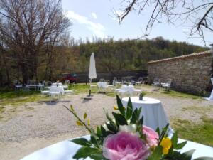 WhatsApp-Image-2022-04-24-at-13.03.35-3